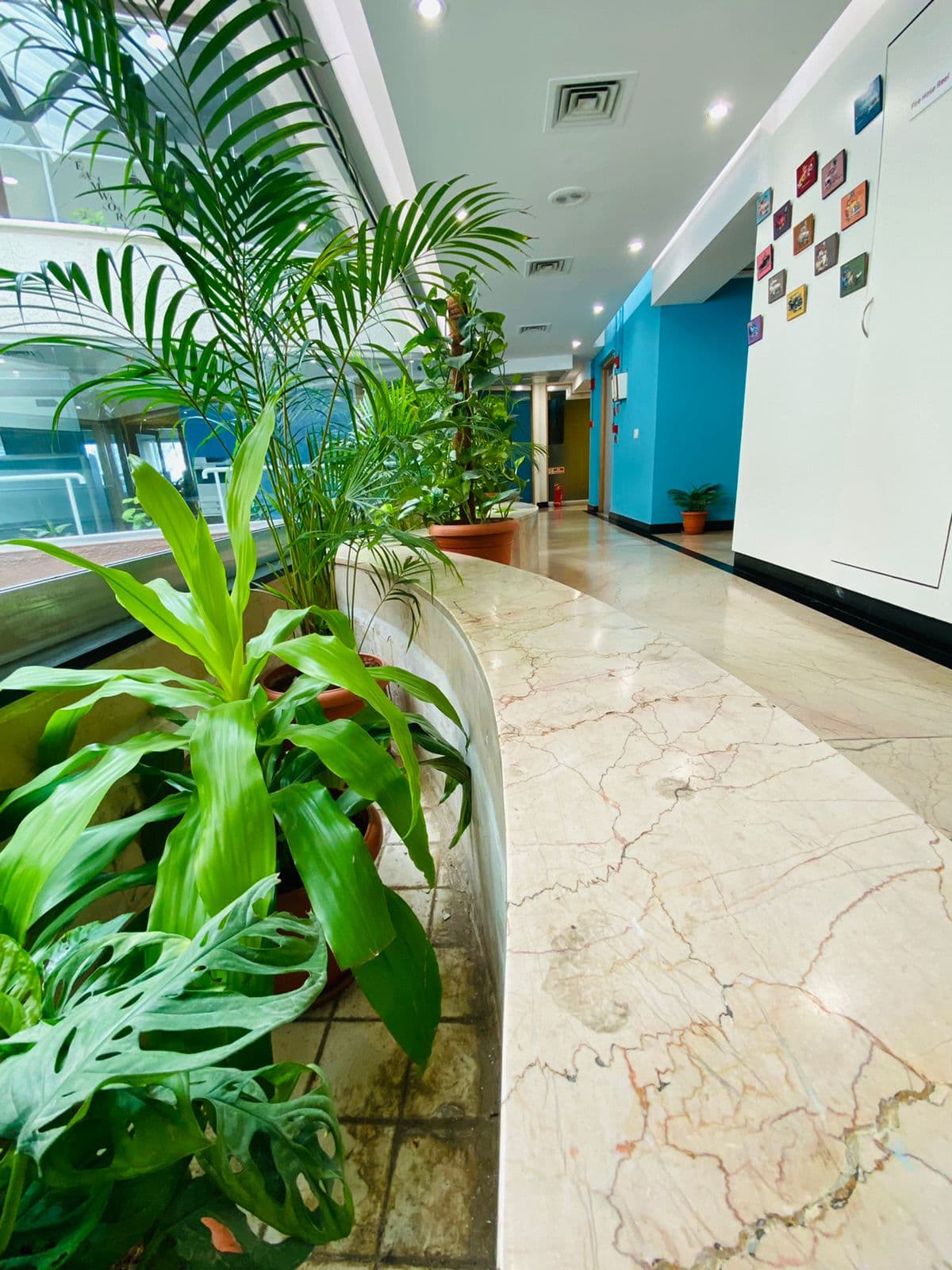 Cove premium workspace for Startups