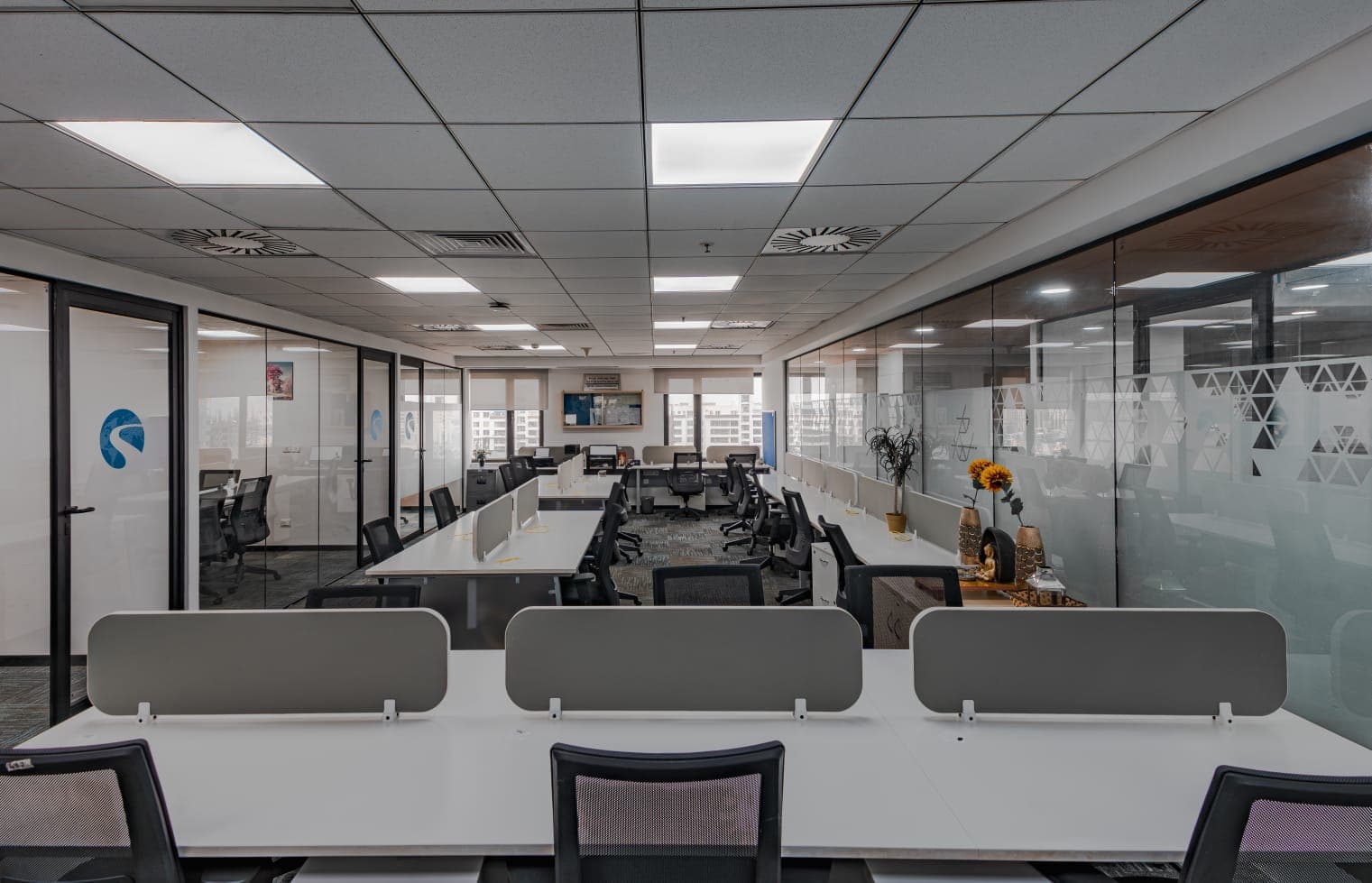 Cove premium workspace for Startups